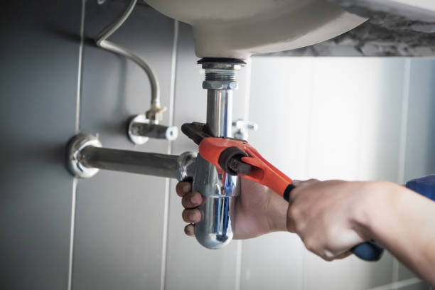 Best Plumbing Inspection Services  in Wells, MN